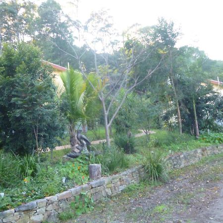Villa Teretre Cabins Nimbin Exterior foto